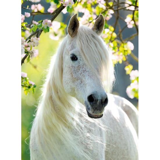 Ravensburger Equestrian Spring Puzzle 500 pièces