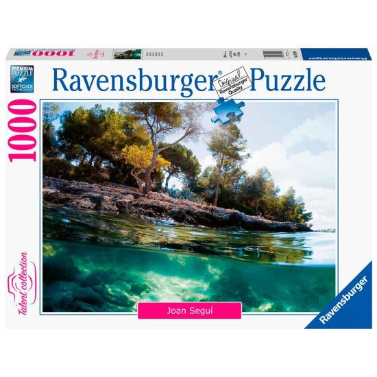 Ravensburger Points de vue Puzzle 1000 pièces