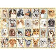 Puzzle Ravensburger Portraits de chiens 500 pièces