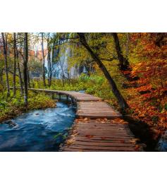 Puzzle Ravensburger Sentier Forestier D'Automne 1000 Pcs