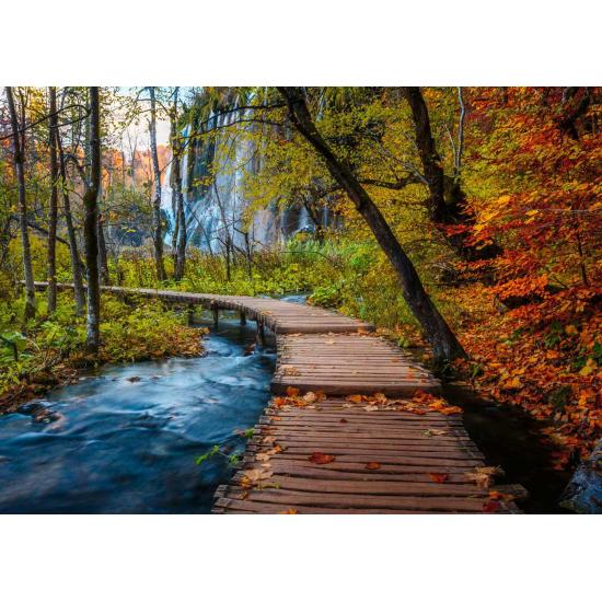 Puzzle Ravensburger Sentier Forestier D'Automne 1000 Pcs