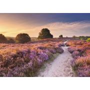 Puzzle Ravensburger Chemin Rose 1000 Pcs