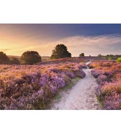 Puzzle Ravensburger Chemin Rose 1000 Pcs
