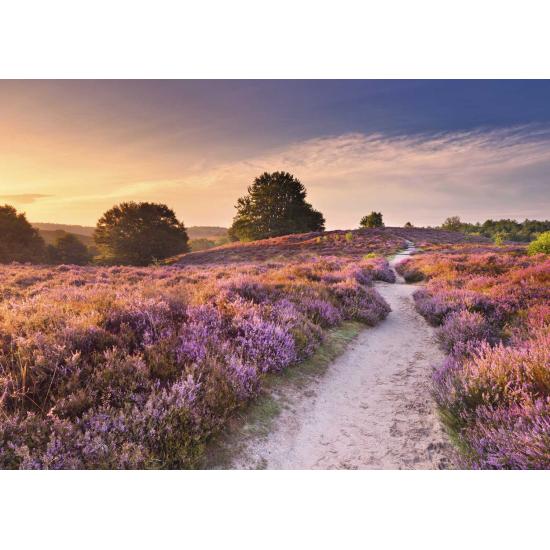 Puzzle Ravensburger Chemin Rose 1000 Pcs