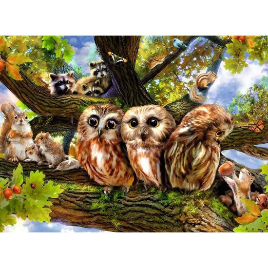 Puzzle Ravensburger Chouettes mignonnes XXL 200 pièces