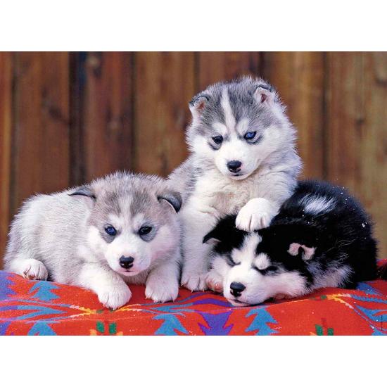 Puzzle Ravensburger Trois Chiots Husky XXL 200 pcs