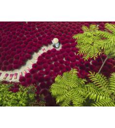 Puzzle Ravensburger Une Mer Rouge 500 Pièces