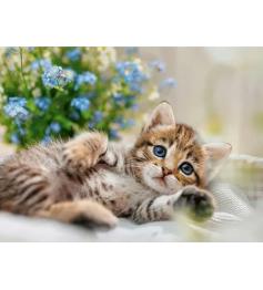 Puzzle Ravensburger Un Bouquet De Douceurs 500 Pièces