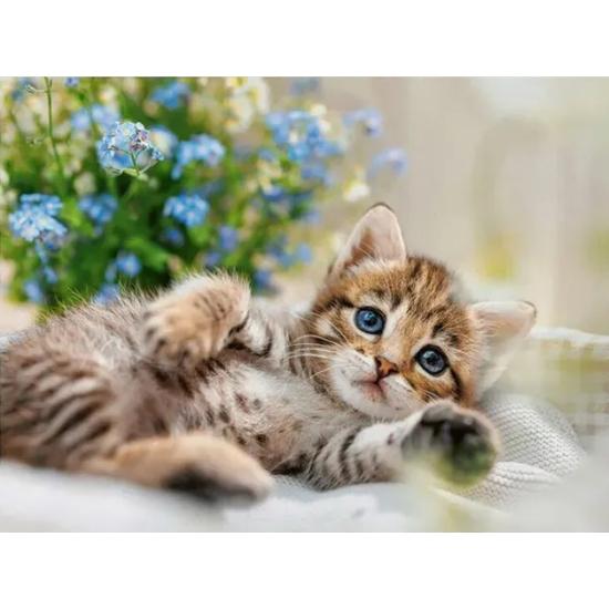 Puzzle Ravensburger Un Bouquet De Douceurs 500 Pièces