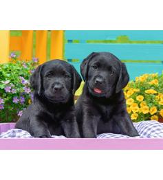 Ravensburger Puzzle Dog Life XXL 300 pièces