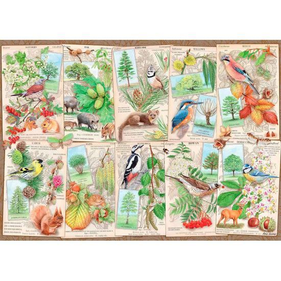 Ravensburger Puzzle Arbres merveilleux 1000 pièces