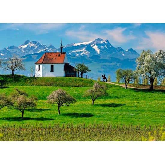 Puzzle Ravensburger Wasserburg Lac de Constance 1000 Pi