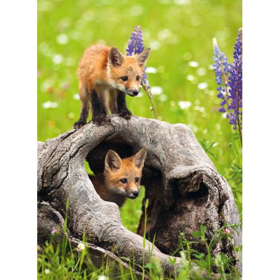 Puzzle Ravensburger Renards curieux XXL 300 pièces