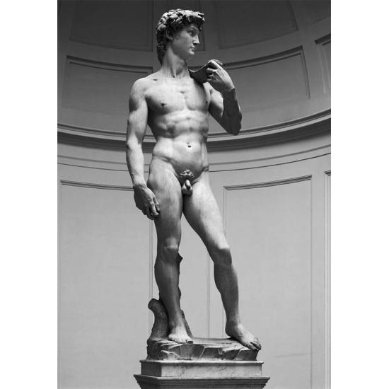 Puzzle Ricordi Le David de 1000 pièces