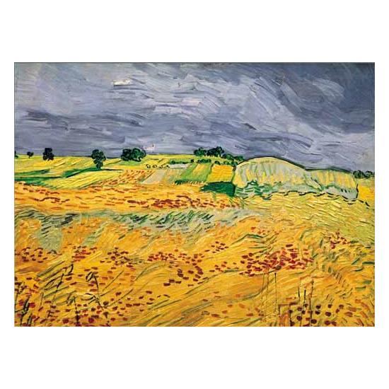 Puzzle Ricordi Les Champs de 1000 pièces