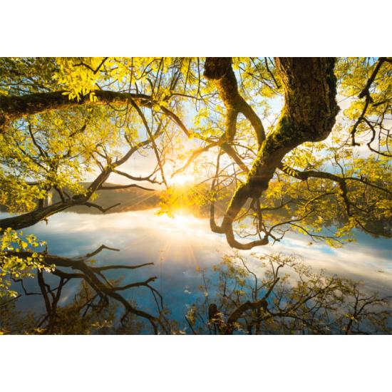 Schmidt Puzzle Golden Embrace 1000 pièces