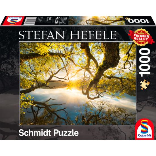 Schmidt Puzzle Golden Embrace 1000 pièces