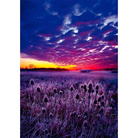 Schmidt Lever de soleil Puzzle 1000 pièces