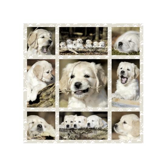 Chiots Schmidt Puzzle 1000 pièces