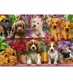 Chiots sur l'étagère Schmidt Puzzle 500 pièces