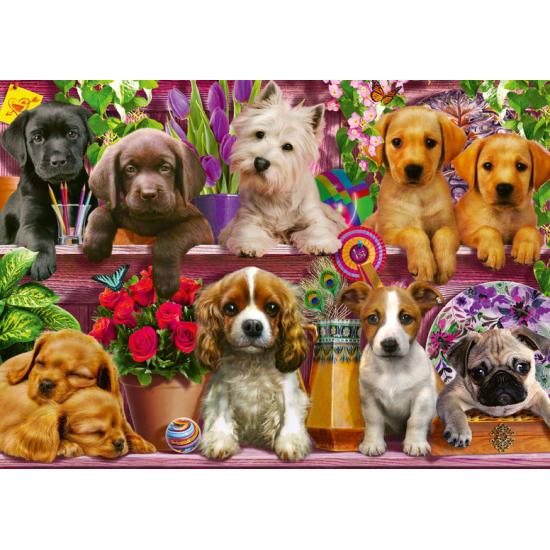 Chiots sur l'étagère Schmidt Puzzle 500 pièces