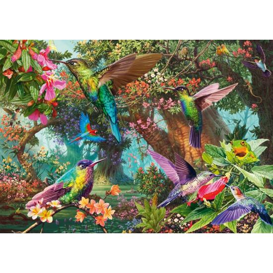 Puzzle Schmidt Colibris Dans Une Explosion De Couleurs 1000 Piec