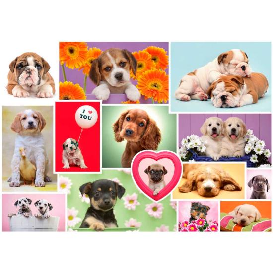 Schmidt Puzzle Collage de chiens 1000 pièces