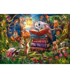 Puzzle Schmidt Histoires Du Soir Dans Les Bois 1000 Pieces