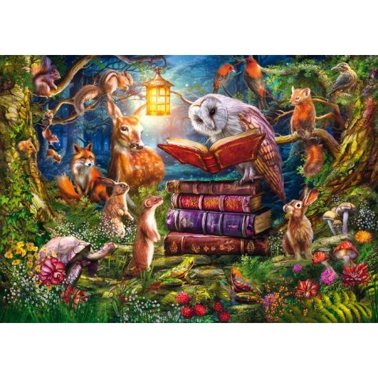 Puzzle Schmidt Histoires Du Soir Dans Les Bois 1000 Pieces