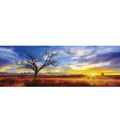 Schmidt Desert Oak Sunset Australie Puzzle de 1000 pieds