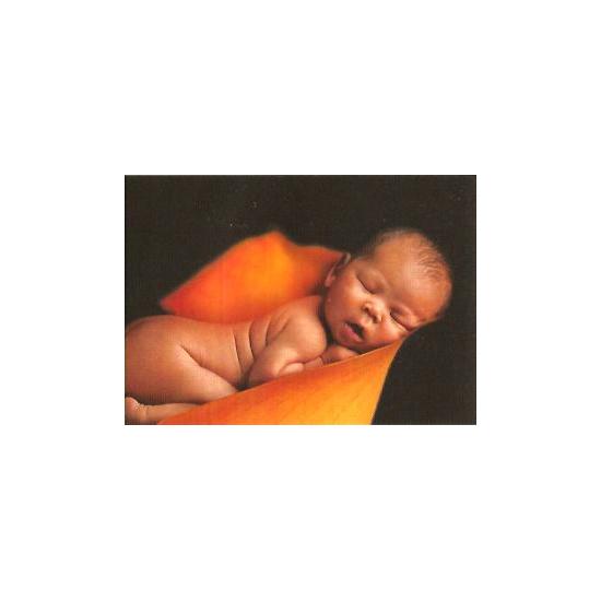 Puzzle Schmidt Le Rêve de 1000 pièces