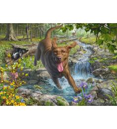 Puzzle Schmidt Gambades Printanières Avec Un Labrador Retriever