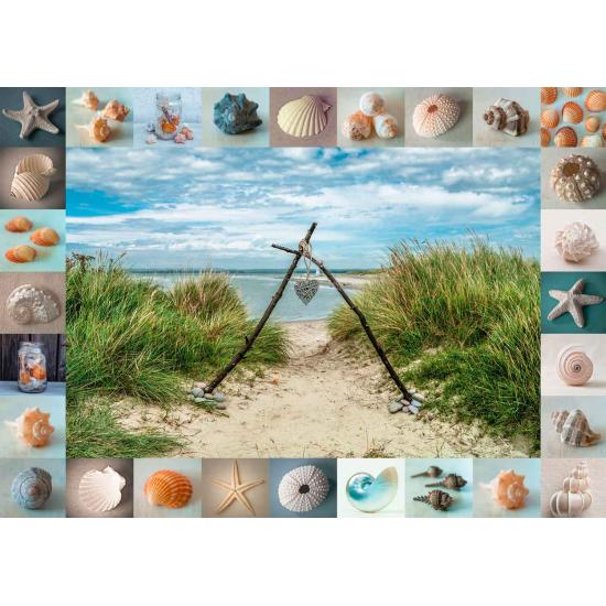 Schmidt Puzzle Trouvé sur la plage 1000 pièces Schmidt Puzzle Trouvé sur la plage 1000 pièces