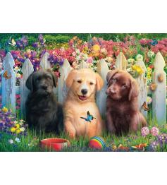 Puzzle Schmidt Scène De Chiots Mignons 1000 Pcs