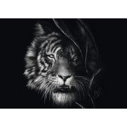 Puzzle Schmidt Férocité, Le Tigre : Liberté 1000 Pieces
