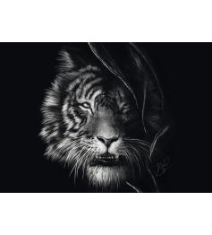 Puzzle Schmidt Férocité, Le Tigre : Liberté 1000 Pieces