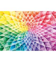 Puzzle Schmidt Fleur Colorée de 1000 Pièces