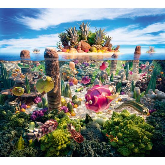 Schmidt Urban South Island Puzzle 1000 pièces