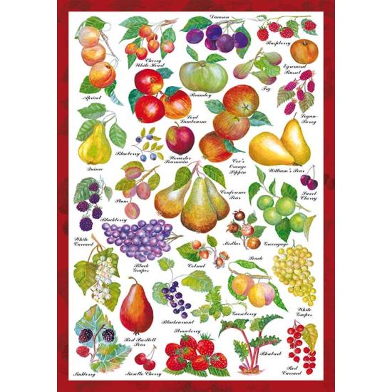 Schmidt Puzzle Fruit Garden 1000 pièces