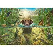 Puzzle Schmidt Un Labrador Chocolat Prend Un Bain Frais 1000P