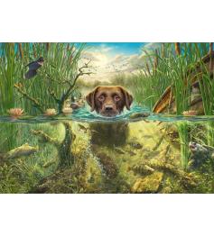 Puzzle Schmidt Un Labrador Chocolat Prend Un Bain Frais 1000P