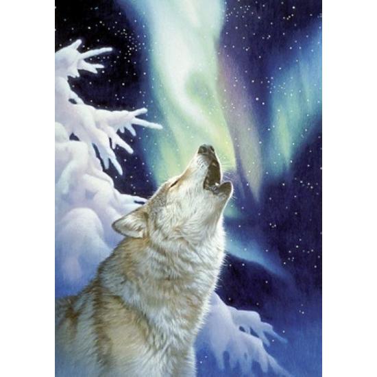 Schmidt Puzzle Appel de nuit 1000 pièces