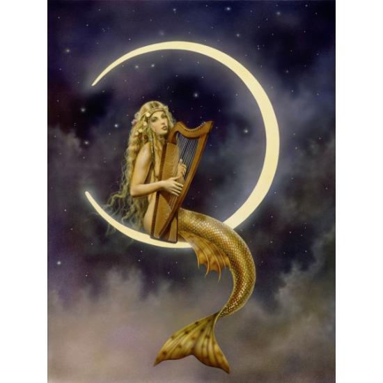 Schmidt Puzzle Night Melody, Sérénade 1000 pièces