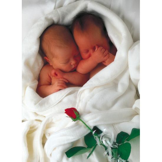 Schmidt Milly et Natalie Puzzle 1000 pièces