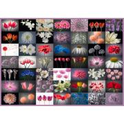 Schmidt Mix Fleurs Puzzle 2000 pièces