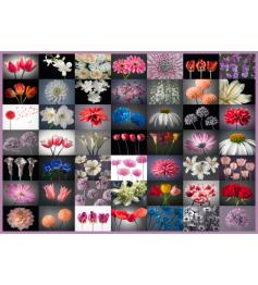 Schmidt Mix Fleurs Puzzle 2000 pièces