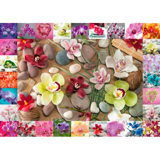 Schmidt Orchidées Puzzle 1000 pièces
