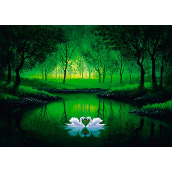 Schmidt Puzzle Couple de cygnes 1000 pièces