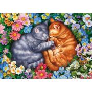 Puzzle Schmidt Pattes De Velours Endormies 1000 Pieces