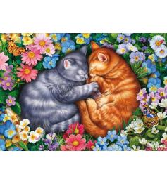 Puzzle Schmidt Pattes De Velours Endormies 1000 Pieces